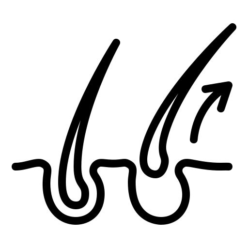 دوره آموزشی و مجوز کار با دستگاه لاغری